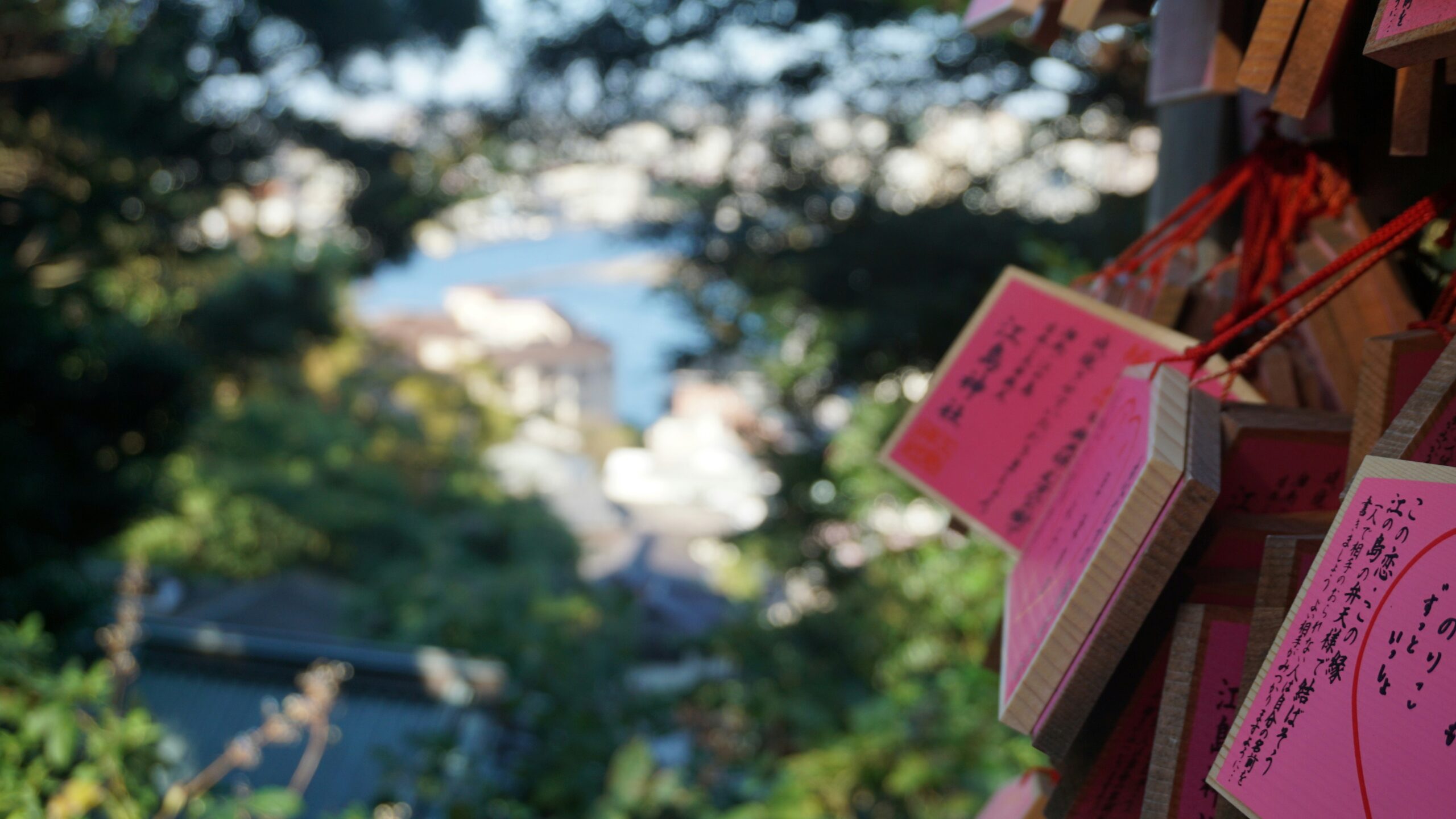 湘南の子連れおでかけ季節別おすすめスポット