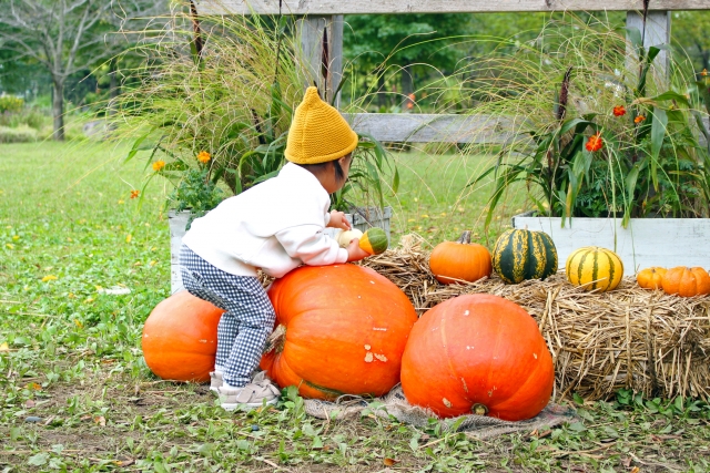 札幌で子連れにおすすめのハロウィンイベント10選