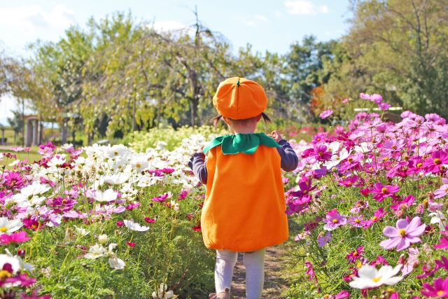 簡単に作れる子どもの手作りハロウィン仮装10選